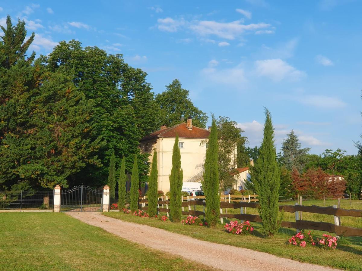 Bed and Breakfast Domaine Christanna Lisle-sur-Tarn Zewnętrze zdjęcie